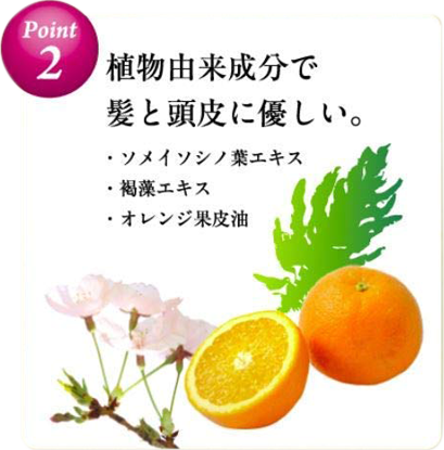 こんな白髪のお悩みありませんか?